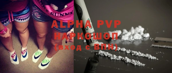 прущие грибы Армянск